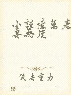 小说亿万老公宠妻无度