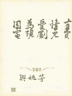 因为爱情有多美电视剧免费观看dvd