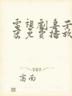 电视剧妻子的秘密免费播放