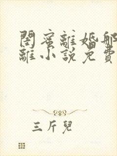 闺蜜离婚那我也离小说免费阅读