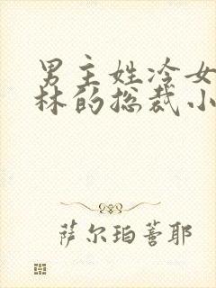 男主姓冷女主姓林的总裁小说