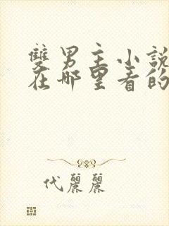 双男主小说都是在哪里看的