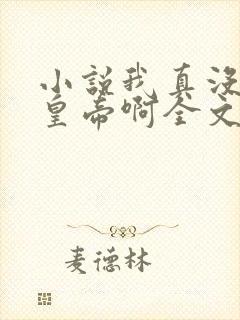 小说我真没想当皇帝啊全文