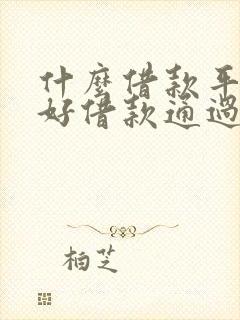 什么借款平台最好借款通过不看征信