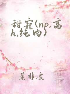 甜宠(np,高h,纯肉)