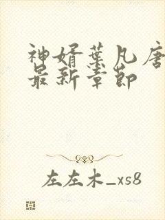 神婿叶凡唐若雪最新章节