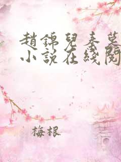 赵锦儿秦慕修的小说在线阅读