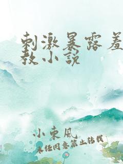 刺激暴露羞耻调教小说