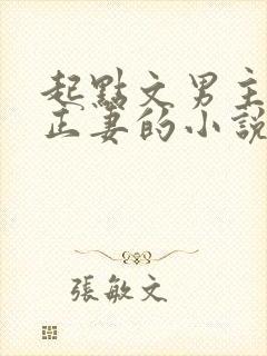 起点文男主沦为正妻的小说