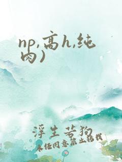 np,高h,纯肉)
