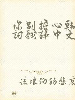 你别担心韩语歌词翻译中文