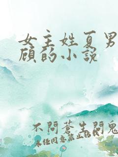 女主姓夏男主姓顾的小说