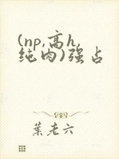 (np,高h,纯肉)强占