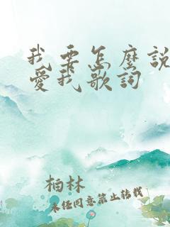 我要怎么说你才爱我歌词