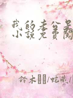 我的老公是酷哥小说免费阅读全文