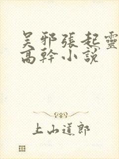 吴邪张起灵cp高干小说