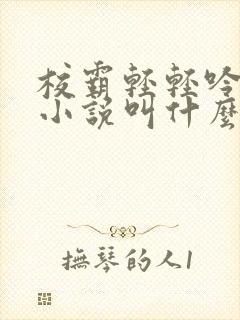 校霸轻轻吟原著小说叫什么名字