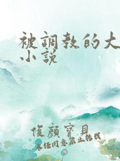 被调教的大小姐小说