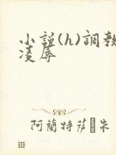 小说(h)调教凌辱