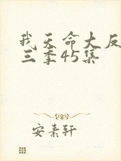 我天命大反派第三季45集