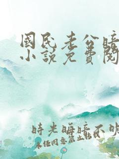 国民老公暗恋我小说免费阅读