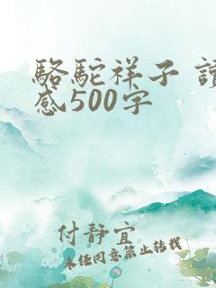骆驼祥子 读后感500字