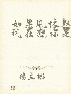 如果风依然知道我在想你是什么歌