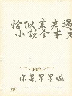 恰似寒光遇骄阳 小说全本免费阅读