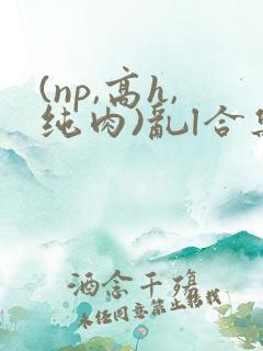(np,高h,纯肉)乱l合集