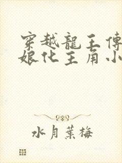 穿越龙王传说之娘化主角小说