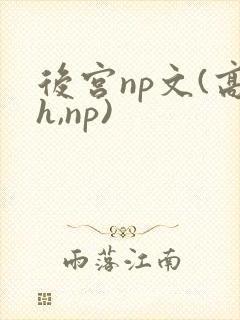 后宫np文(高h,np)