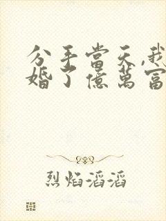 分手当天,我闪婚了亿万富豪全文免费阅读