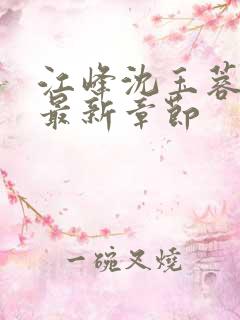 江峰沈玉蓉小说最新章节