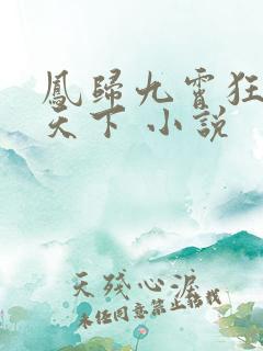 凤归九霄狂妃逆天下 小说