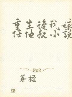 重生后我嫁给前任他叔小说