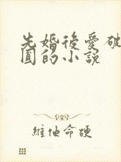 先婚后爱破镜重圆的小说