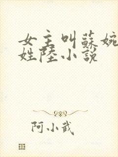 女主叫苏婉男主姓陆小说