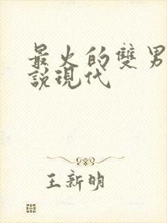 最火的双男主小说现代