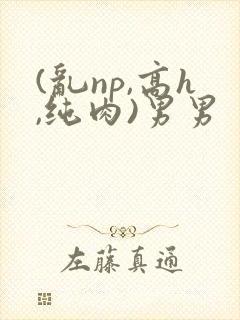 (乱np,高h,纯肉)男男