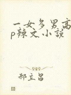 一女多男高hnp辣文小说
