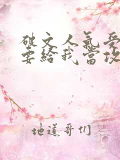 破文人气受 非要给我当攻的小说