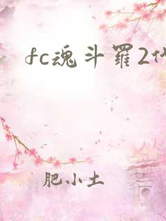 fc魂斗罗2代