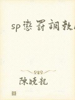 sp惩罚调教h