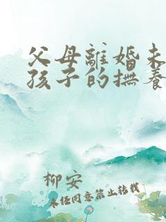 父母离婚未成年孩子的抚养权怎么判定