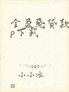 金盈飞贷款app下载