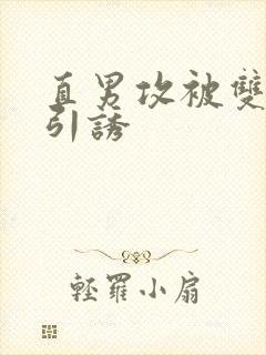 直男攻被双性受引诱