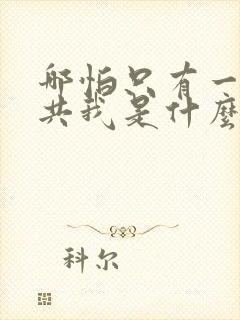 哪怕只有一天你共我是什么歌