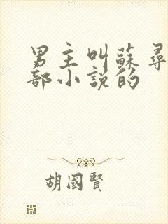 男主叫苏寻是哪部小说的