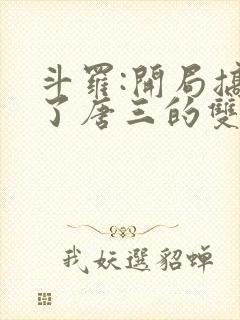 斗罗:开局搞没了唐三的双生武魂小说