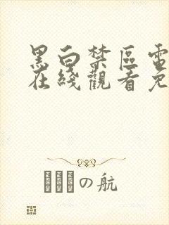 黑白禁区电视剧在线观看免费完整版